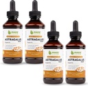 Maxx Herb Astragalus Root Extract - Max Strength Liquid Tinctuur Absorbs Better Than Capsules or Powder, for Immune Support and Mental Clarity - 4 Bottles, 4 Oz Each (240 Servings)