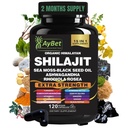 Shilajit voor mannen en vrouwen-Organische Himalaya Shilajit Capsules met Zee Mos, Zwarte Zaadolie, Ashwagandha, Rhodiola Rosea, Burdock, Cordyceps Mushroom, Ginseng, Turmeric, Ginger, 120 Capsules