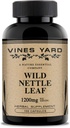 Wild Nettle Leaf Capsules Ondersteunt gezonde Fluid Balance & Urinary Tract Issues 100% Natural Organic Herbal Supplement 1200mg 100 Pack