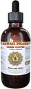 Green Coffee Liquid Extract, Green Coffee (Coffea Arabica) Bean Powder Tinctuur Supplement 4 oz