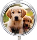 Pill Box 3 Compartiment ronde pil Organizer Dagelijkse kleine pil geval voor reizen leuke Golden Retriever Puppy Metal Pill Container Portable Medicine Organisator voor pil Vitaminen Visolie supplement
