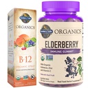 Tuin van het leven Organics Vlierbes Immune Gummies, 120 Count & B12 Vitamine Raspberry Spray, 500mcg, 2oz