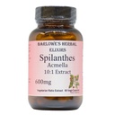 Spilanthes Acmella Extract 