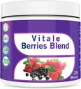 Go Nutra Antioxidant Bessen Blend Superfood Smoothie Powder with Acai Maqui Goji & More Nutritional Boost Smoothie Mix 8oz