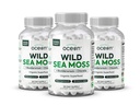 Organics Ocean Wild Sea Moss Capsules - 100% Organic Irish Sea Moss with Organic Chlorella, Bladderwrack and Vitamin D for Energy, Long Health and Thyroid Support for Women and Men - 3 Bottles