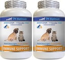 Honden Immuun Ondersteuning - PET Immuun Ondersteuning - voor honden en katten alleen - Natuurlijke - VETS keuze - Honden Kurkuma supplement - 120 Treats (2 flessen)