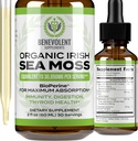 Weldadige voeding Biologische Ierse Zee Mos Drops 2oz - Burdock Root, Bladderwrack & BioPerine [Ultra Strength] 30.000mg Zee Mos Liquid Drops voor Immune Support, Thyroid, Gut, Skin & Joint Health