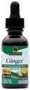 Nature's Antwoord Alcoholvrije Ginger Root, 1-Fluid Ounce Ontvlammende Ondersteuning Ondersteunt Vertering