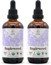 Bugleweed USDA Organische Alcoholvrije Extract 
