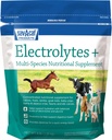 Sav-a-Caf Electrolytes PlusTM Supplement 