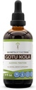 Geheimen van de stam Gotu Kola Tinctuur Alcohol Liquid Extract, Gotu Kola (Centella Asiatica) Gedroogde Kruiden (4 FL OZ)