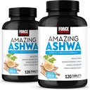 Force Factor Ashwa, KSM-66 Ashwagandha Supplement voor Stress Relief, Focus, Geheugen, Immuun Ondersteuning, Met Vitaminen, Mineralen & Antioxidanten, Cortisol Supplementen voor Vrouwen, 240 Tablets (2-pack)
