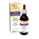 Naturalma Ginger (Zingiber officinalis) Rhizome Alcoholvrije Tinctuur - 4 fl oz Liquid Extract in druppels - Kruidensupplement - Veganistisch