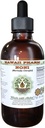 Noni Alcoholvrije Liquid Extract, Biologische Noni (Morinda citrifolia) Gedroogde vruchten Glyceriet Natuurlijke Kruidensupplement, Hawaii Pharm, USA 2 fl.oz