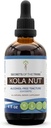 Geheimen van de stam Kola Nut Tinctuur Alcoholvrij Extract, Kolanoot (Cola Acuminaat) Gedroogde noot (4 FL OZ)
