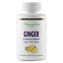 Paradise Kruiden Premium Gember Extract voor Digestieve Gezondheid, Super Potent, Ultra Pure, Vegan, Non-GMO, Glutenvrij, 60 Vegetarische Capsules