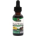 Antwoord van de natuur Black Walnut Green Hull Extract 1oz - Alcoholvrije, Glutenvrije, Kosjer - Zwarte Walnut, Wormwood Black Walnut Kruid Parasiet Reiniging - Detox & Lever Ondersteuning, Verteringsreiniger
