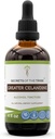Secrets of the Tribe Greater Celandine Tincture Alcohol Extract, Greater Celandine (Chelidonium majus) 4 OZ