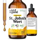 Wild & Organic St Johns Wort Tinctuur - Mood Support - Calming St John's Wort Supplement - Hypericum Perforatum Herbal Liquid Drops - Vegan, Sugar & Alcohol Free - 4 floz