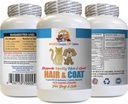 Honden Gezonde jas supplement - Huisdieren Haar en jas Boost - voor honden en katten - Ondersteunt gezonde huidhaar Nagels - quercetine voor Huisdieren - 1 fles (60 tabletten)