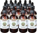 African Cherry Pygeum Alcoholvrij Liquid Extract, African Cherry Pygeum (Princip Africana) Bark Glycerite Natural Herbal Supplement, Hawaii Pharm, Verenigde Staten 15x4 oz