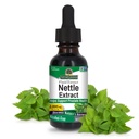 Antwoord Nettle Leaf 1oz Extract Prostate Suppot 
