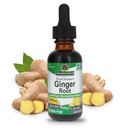 Het antwoord van de natuur Gember Root Alcohol Gratis Extract 1 Ounce Ondersteunt Maagfunctie 