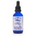 Eidon Liquid Silica Mineral Concentrate - Silica Supplement voor haar, huid en nagels, druppels ter ondersteuning van collageen productie, helpt bij het beheren van calcium, Geen toegevoegde suiker - 2 oz