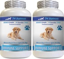 Immuun Ondersteuning Vitaminen - Honden Immuun Ondersteuning - Burdock Root Extract Biologische - Burdock Root voor honden - Immuun Honden Pillen, Immuun Ondersteuning voor Honden Probiotische, Immuun Ondersteuning Supplement 2 Bot (120 Kauwen