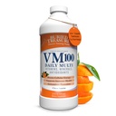 Begraven Treasure VM100 Complete Dagelijkse Liquid Vitaminen en Mineralen plus Antioxidanten Supplement voor maximale Absorptie Grote Proeverij Oranje Zest Smaak 32 Servers 32 Ounce