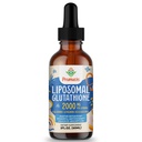2000MG Liposomale Glutathion Vloeistof, 98% Absorptie, Actieve Vorm L-Glutathione Supplement, Vegan Vriendelijk, Krachtig Antioxidant Complex voor Immune System, Veroudering Verdediging, Detox, 2 FL.OZ