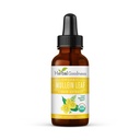 Herbal Goodness Mullein Leaf Extract - Mullein Drop voor Lungs Detox, Herbal Expectorant and Antioxidants Properties for Respiratory & Digestief Health - Mullein Tinctuur 1oz