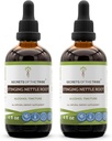 Geheimen van de Stam Stingerende Netel Wortel Tinctuur Alcohol Extract, High-Potency Kruidendruppels, Tinctuur gemaakt van Stinging Nettle Urtica Dioica Ademhalingsstelsel en Urinaire Gezondheid 2x4 oz