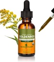 Herb Pharm Certified Organic Goldenrod Liquid Extract for Urinary System Support, 1 Fl Oz (pack van 1)