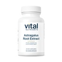 Vitale voedingsstoffen - Astragalus Root Extract - Vegan Formula - Kruidenondersteuning voor het immuunsysteem - 90 Vegetarische capsules per fles - 300 mg
