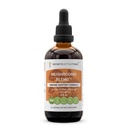 Geheimen van de stam Paddenstoelen Blend Alcoholvrij, Glycerite Chaga, Shiitake, Maitake, Cordyceps, Reishi Mushroom. Tinctuur, Kruidenextract Immuunondersteuning Formule 4 OZ