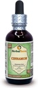 Kruiden Terra LLC kaneel (Cinnamomum Verum) Glyceriet, gedroogd bast Alcoholvrije vloeistof Extract 2 oz