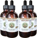 Hawaii Pharm Oregon Grape Alcohol-Free Liquid Extract, Oregon Grape (Mahonia aquifolium) Dried Root Glycerite Natural Herbal Supplement, USA 4x4 fl.oz