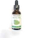 Four Elements 4E White Pine Tinctuur, 100% Certified Fresh Organic Herb Extract, 1 FL OZ