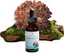 PaddestoelWetenschap MaitakeGold 404 Paddestoel Supplement, Liquid Extract, Gezondheidsbescherming Ondersteuning, Natuurlijke Dieetsupplement voor volwassenen, Warm water Extracted Paddestoelen, Vegetarisch, 1 Oz, 180 Serven