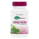 Natures Plus Herbal Actives Ginkgo Biloba, Extended Release - 120 mg, 60 Vegan tabletten - Vegetarisch, Glutenvrij - 60 porties