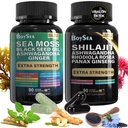 Boysea. Shilajit and Sea Moss Bundle- 90 Telling - Sea Moss, Black Seed Oil, Ashwagandha, Ginger & Shilajit, Rhodiola Rosea, All in 1 Supplementen (1 PC)