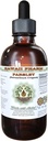 Parsley Alcohol-Free Liquid Extract, Parsley (Petroselinum Crispum) Root Glycerite Natural Herbal Supplement, Hawaii Pharm, USA 2 fl.oz