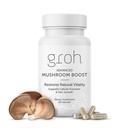 Groh dagelijkse vitaliteit Boost - Alle natuurlijke haargroei supplement aangedreven door ErgoD2 - Rijk aan antioxidanten - Vitaminen voor sterker haar, huid & Nails- Beste keuze voor het dunner haar - 60 Tel.