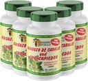 Sunshine Naturals Guisazo & Chancapiedra Herbal Blend, Natural Dietary Supplement for Wellness Support, 90 Capsules. Verpakking van 5