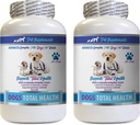 PET-supplementen & NUTRITION LLC Hondentandhygiëne - Honden Totale gezondheidscontrole - Immuunondersteuning - Haarhuidnagels Orale ooggezondheidsformule - Orale calcium voor honden - 2 flessen (120 stuks)