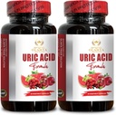 URIC Acid Cleanse Formula - Joint Support Pillen, urinezuuroplossing, melkdistel, diuretische pillen voor waterretentie, selderijzaadextract - 2 flessen 120 capsules