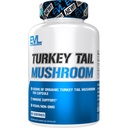 Evulution Nutrition Turkey Tail Mushroom - 500mg Organic Turkey Tail Mushroom per Capsule - Immune Support - Dieetsupplement - Vegan & Non-GMO - 60 Servings - 60 Capsules