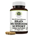 Brain Mushroom Support 