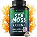 Sea Moss Capsules - Irish Sea Moss Advanced with Burdock Root, Bladderwrack & Muira Puama for Immunity, Gut, & Energy - Superfood Sea Moss Supplements w/Raw Sea Moss Powder - 120 Irish Seamoss Pils